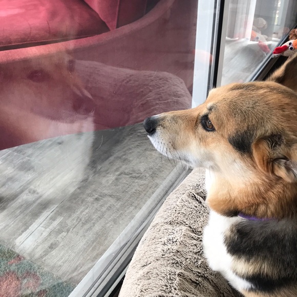 Meet your Posher, Timothee - Picture 1 of 1